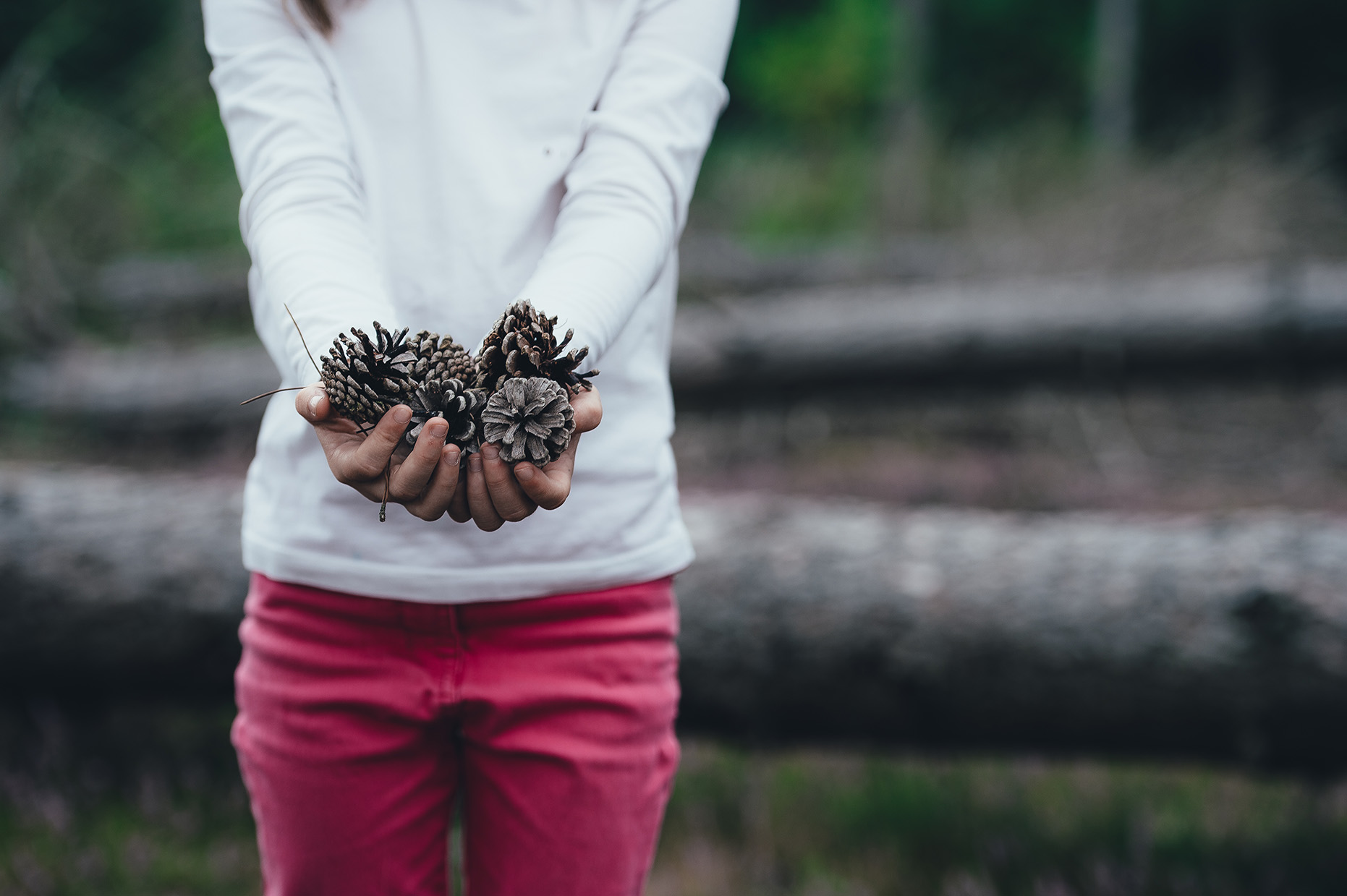 Photo of girl sharing pinecones