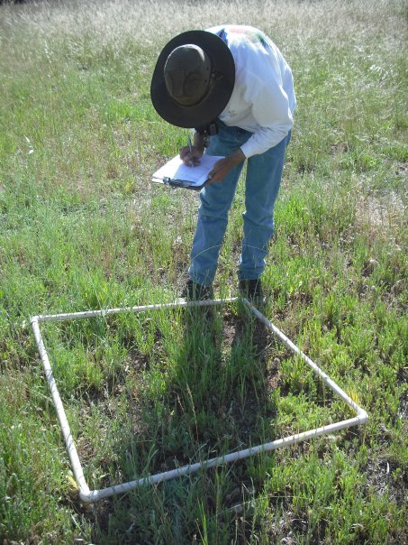 Photo by Michelle Chang. All Rights Reserved