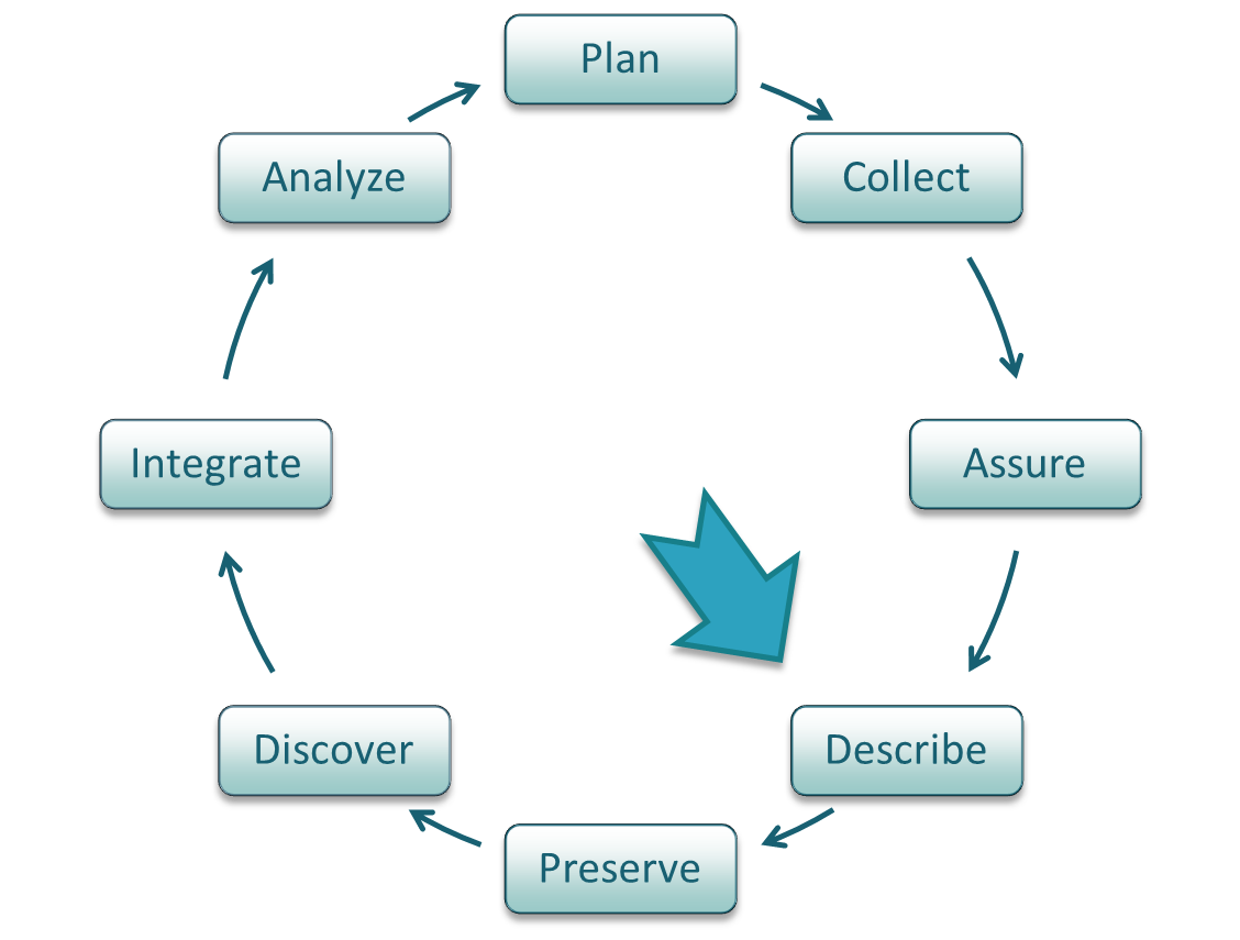 The DataONE Data Life Cycle